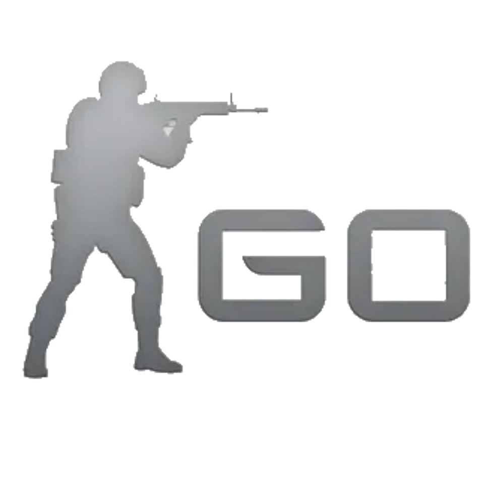 CS 1.6 GO